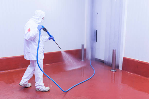 Best Soft Washing  in Montclair, VA